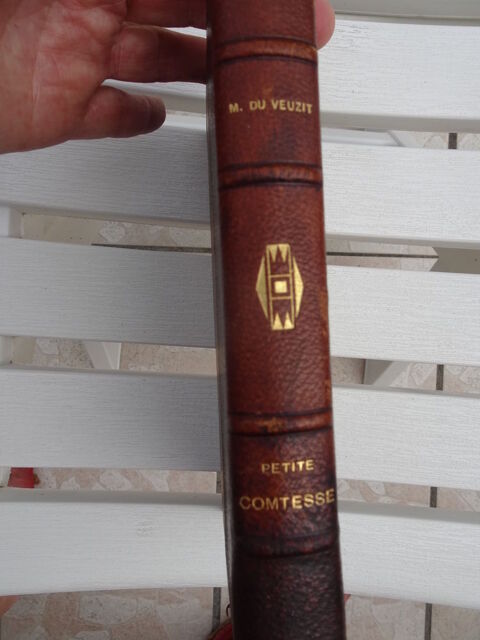 Livre  Petite comtesse  9 Chartrettes (77)