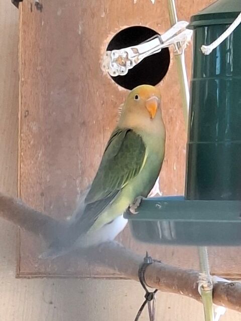 Ins&eacute;parable 30 83330 Le castellet