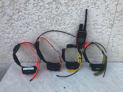 Colliers GPS  Garmin 850 73000 Chambéry