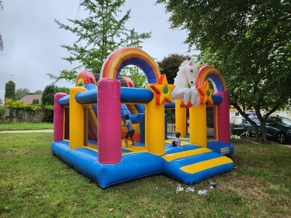 Chateau gonflable licorne avec toboggan - tres bon etat Jeux / jouets