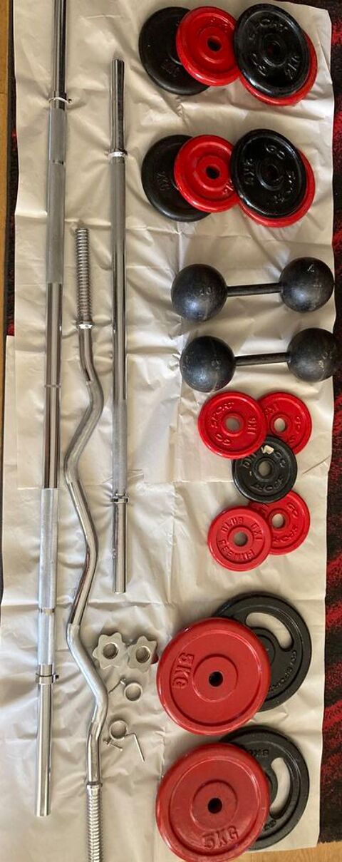 Disques 1 (5) 2 (6) et 5 kgs (4), 1 paire d'halt�res de 10 k 120 Cannes (06)