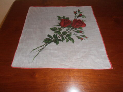 Pochette roses rouges (V3) 2 Tours (37)