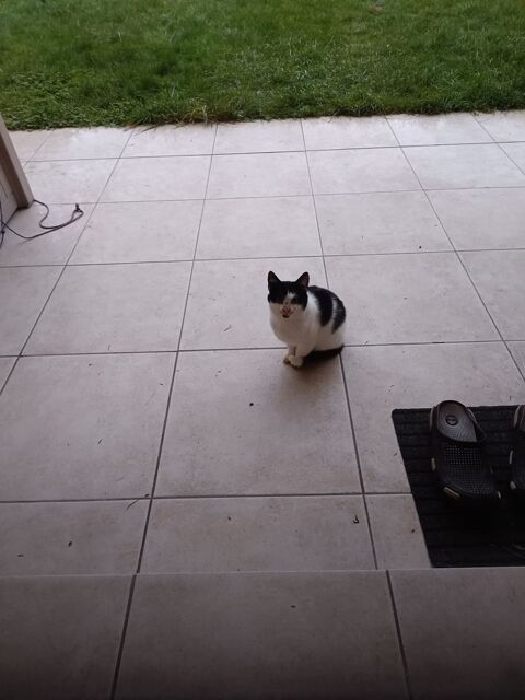 Petite famille 0 75018 Paris