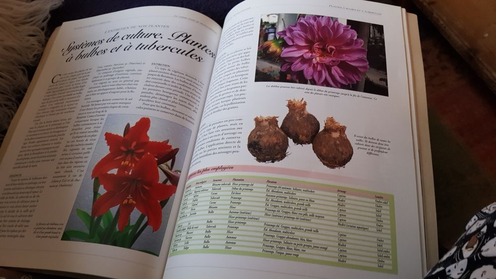 Livre de jardinage Livres et BD