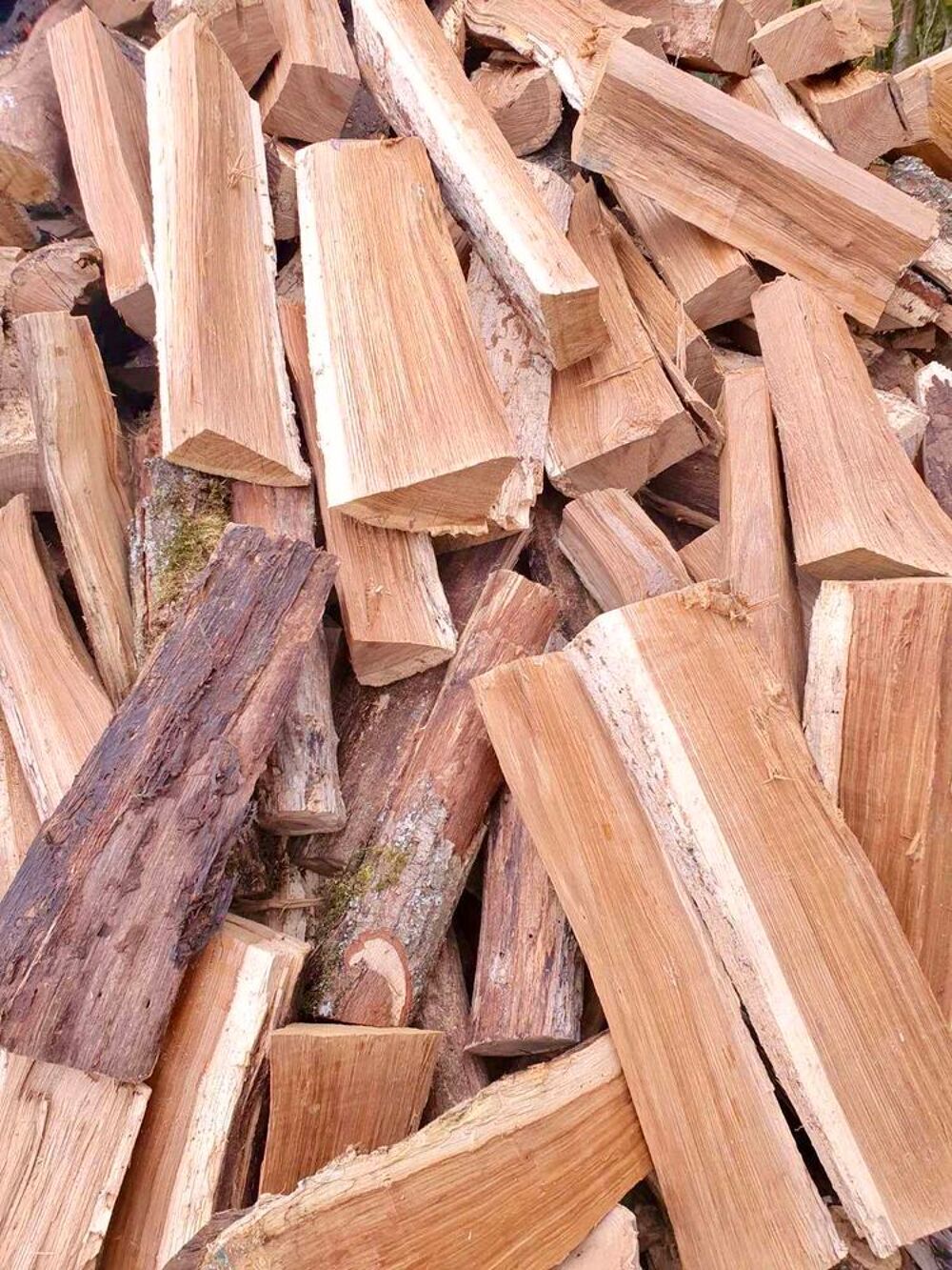 Bois de chauffage Jardin