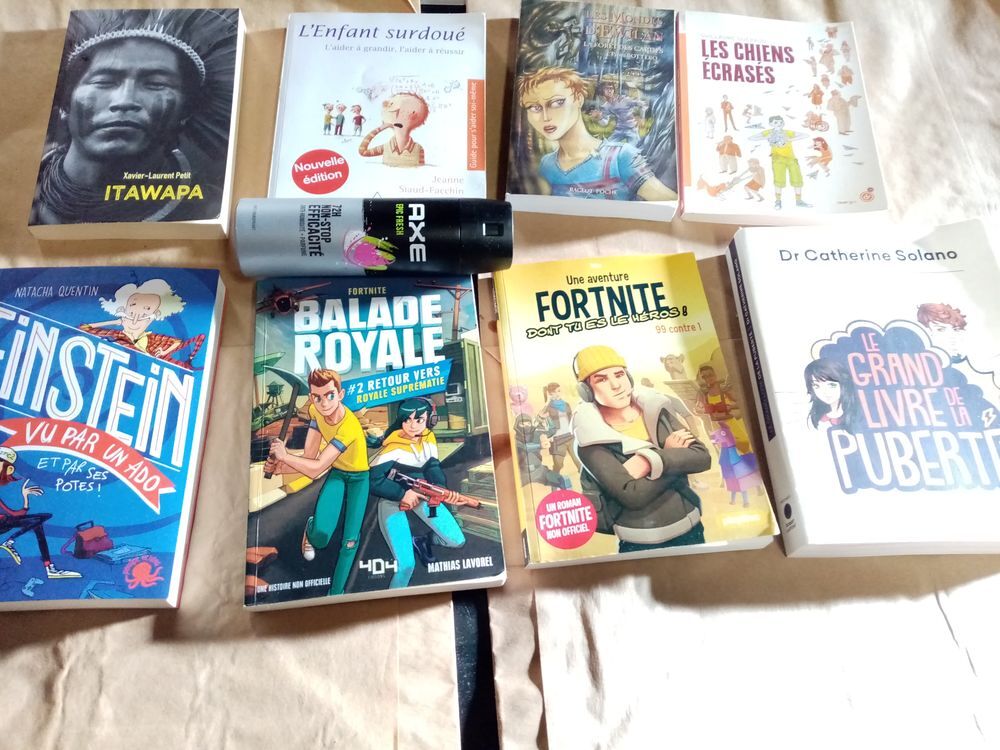 livre divers EINSTEIN fornite balade royale Livres et BD