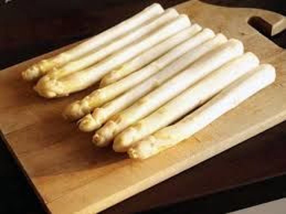5 plants ou griffes d'asperges blanches Jardin