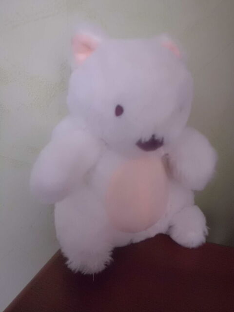 ecureuil blanc ideal 15 Oignies (62)