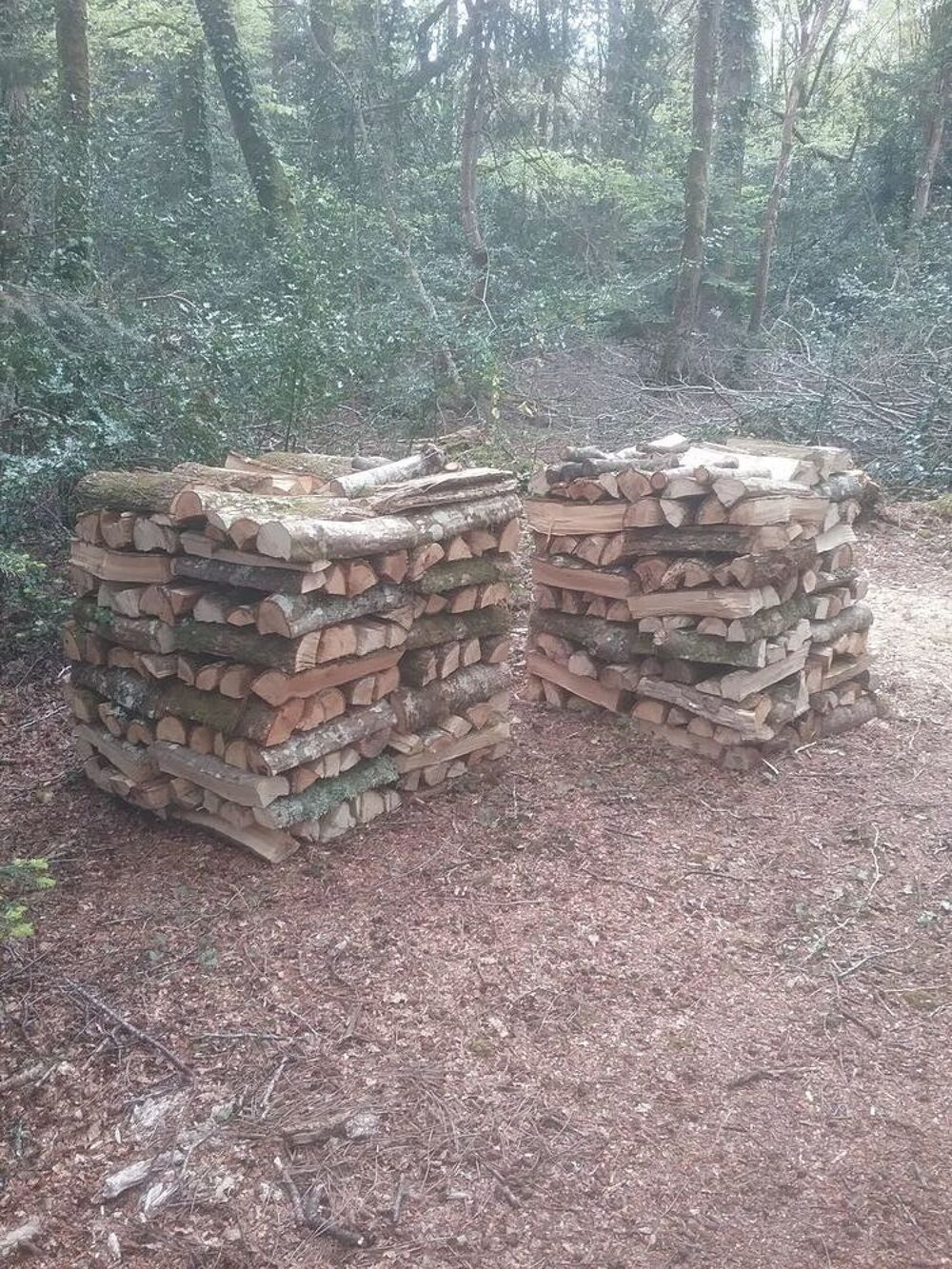Bois de chauffage H&Ecirc;TRE, CH&Ecirc;NE, CH&Acirc;TAIGNIER. Jardin