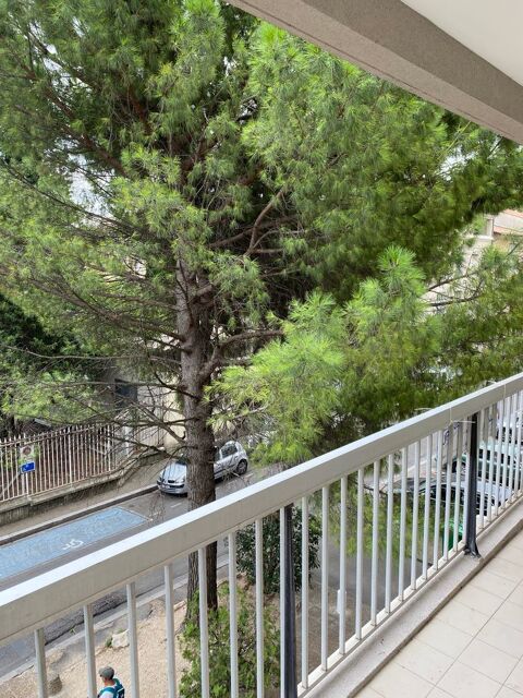  Appartement  louer 2 pices 55 m Avignon