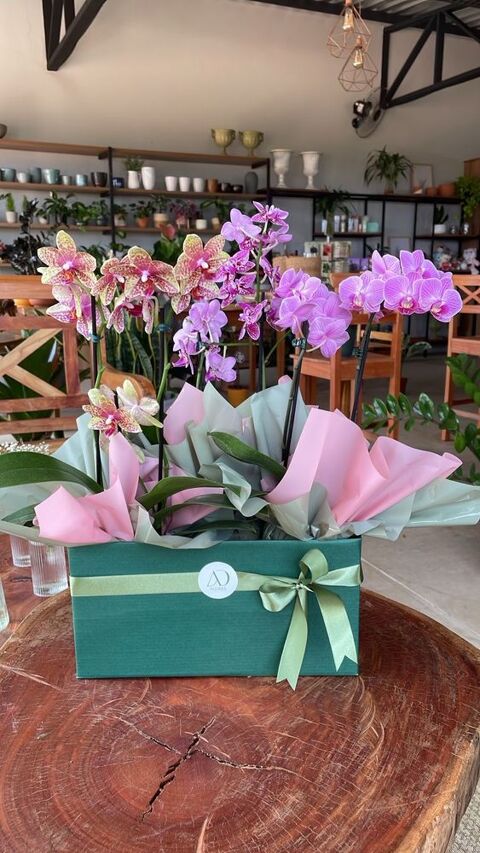 M&eacute;nage/Repassage 0 75014 Paris