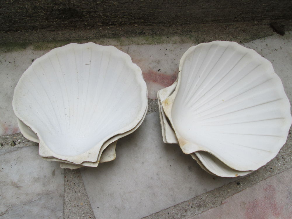 6 Coquilles St Jacques Décoration