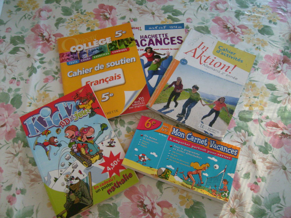 5 cahiers de vacances entre la 6&deg;,5&deg;,4&deg; et la 3&deg; Livres et BD