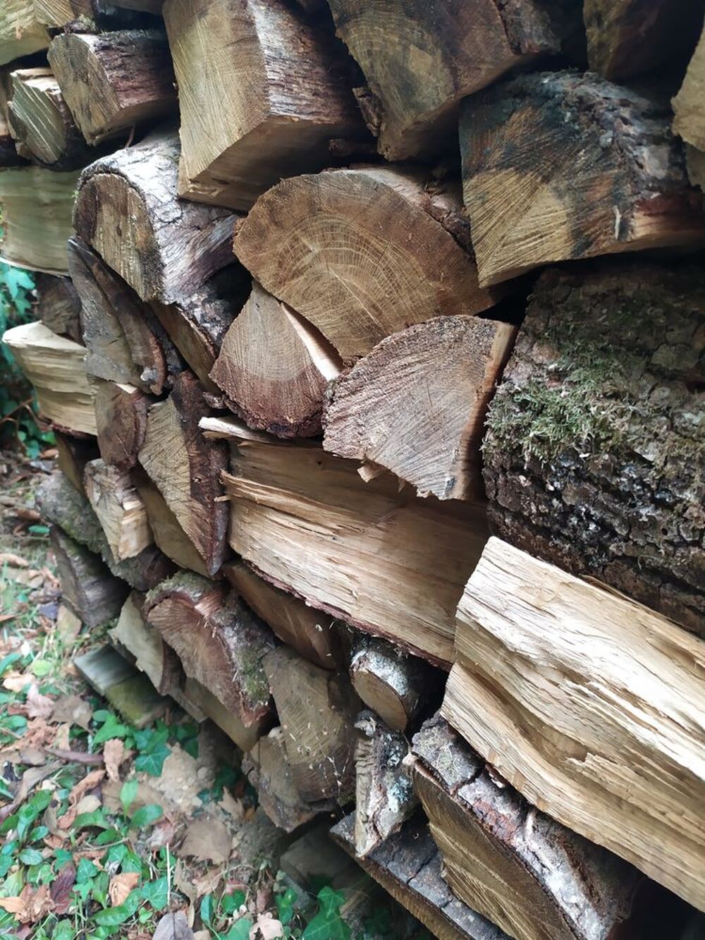 Bois de chauffage Jardin