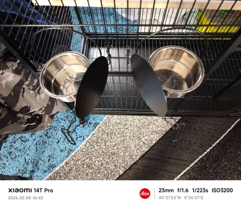 Cage perroquet 300 38110 Montagnieu