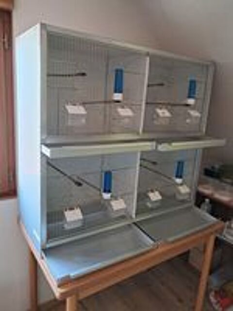   Cage, batterie d'élevage d'oiseaux 