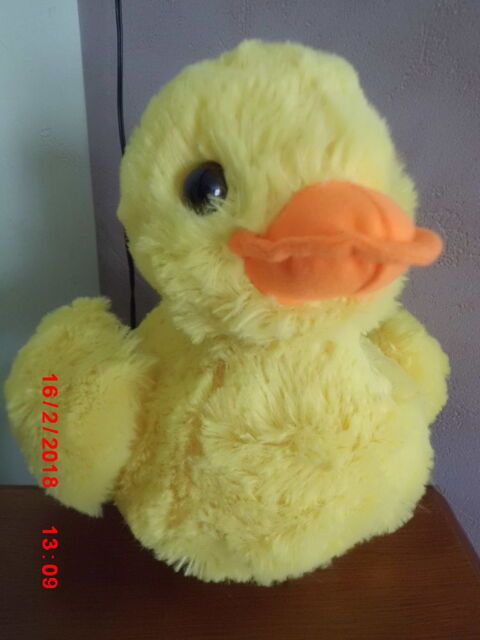 CANARD JAUNE PAWS 16 Oignies (62)