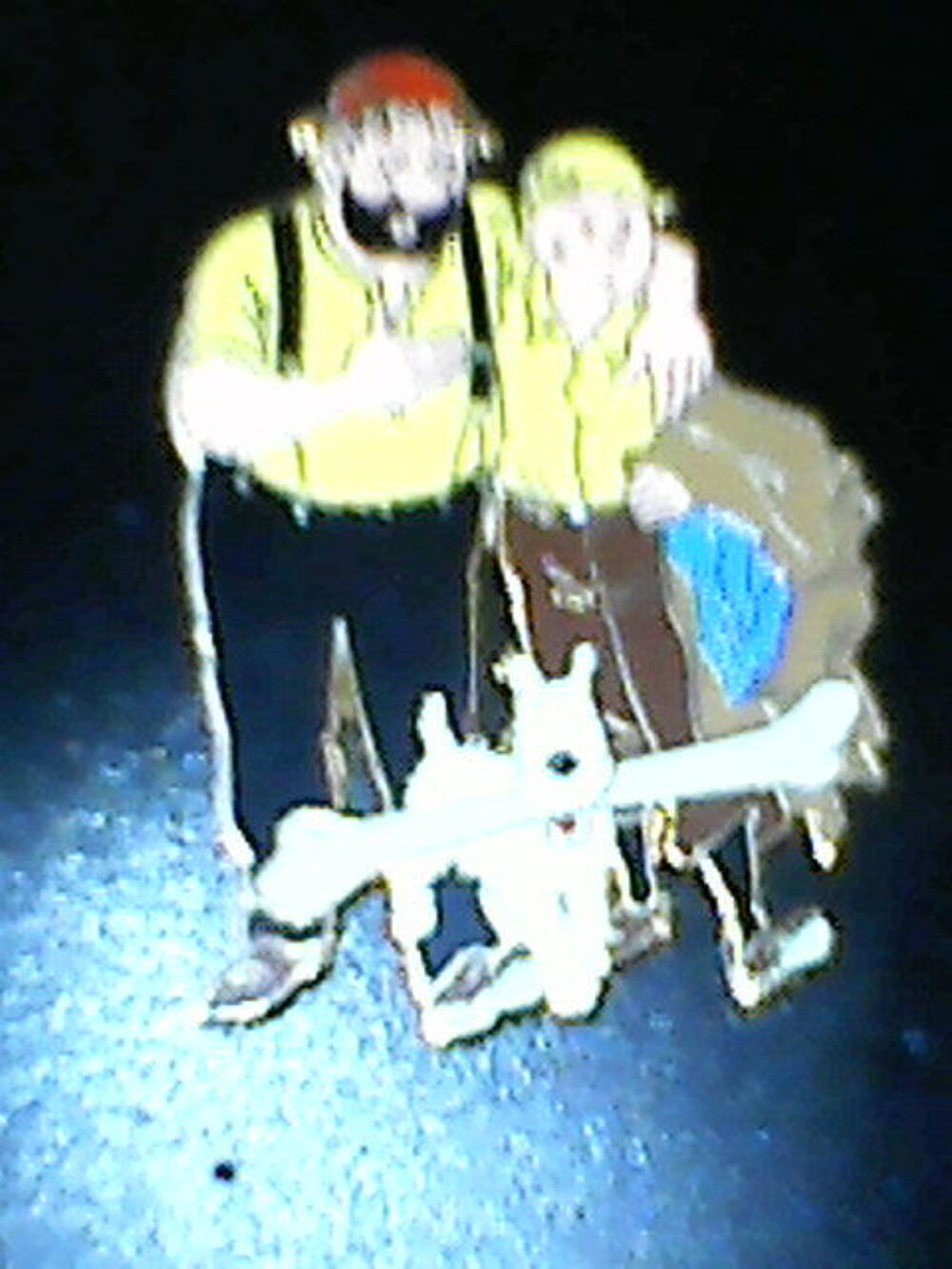 tintin le crabe aux pinces d'or 