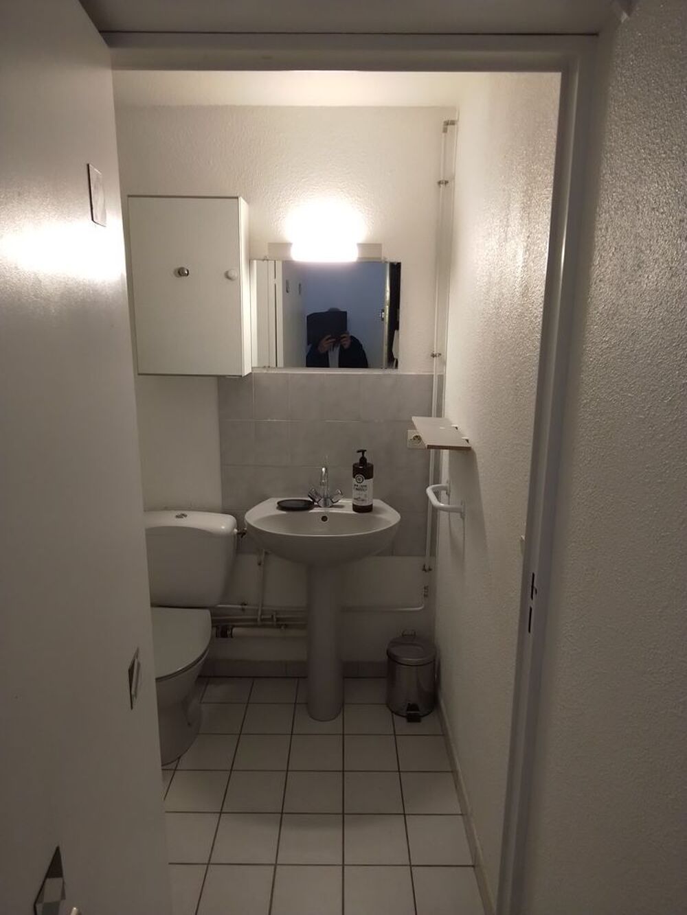 Vente Appartement VIAGER LIBRE Grenoble