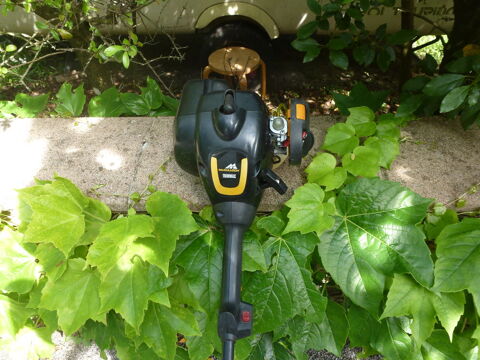 Petit coupe bordure MC CULLOCH 30 Saint-Denis (11)