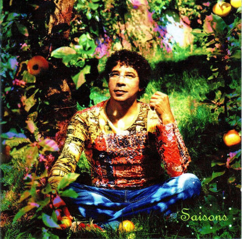 CD Laurent Voulzy ?? Saisons (etat neuf) 15 Martigues (13)