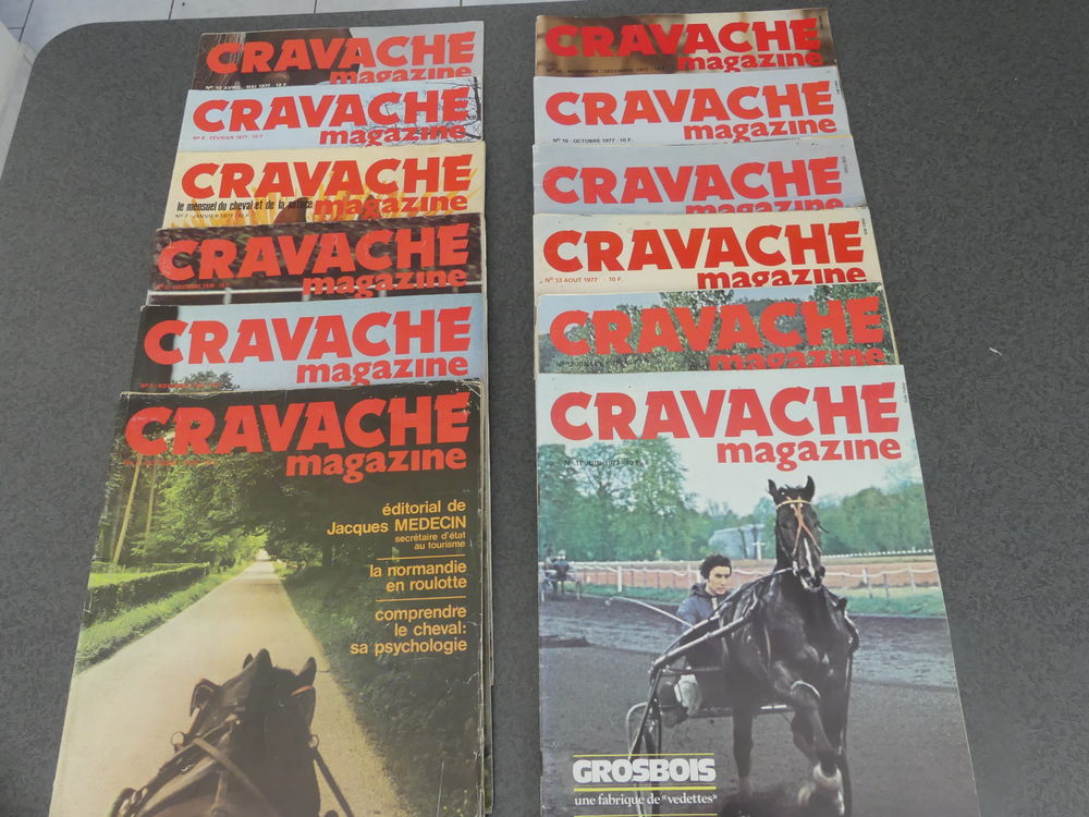 magazine cravache 