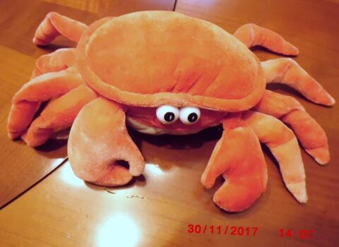 CRABE ORANGE ET BEIGE 15 Oignies (62)