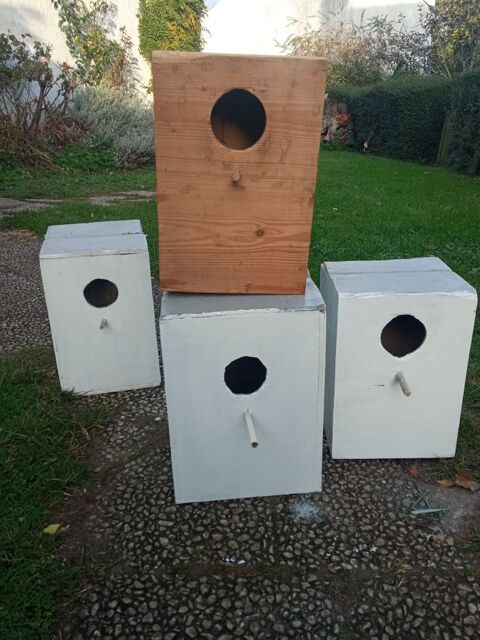 Nid grande perruche 5 44460 Fgrac