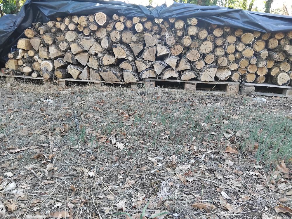 Bois de chauffage Jardin