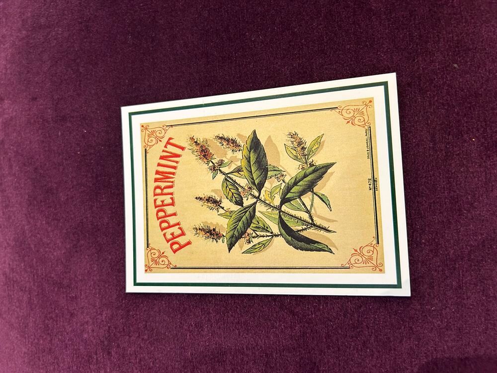 Carte postale illustr&eacute;e 22 
