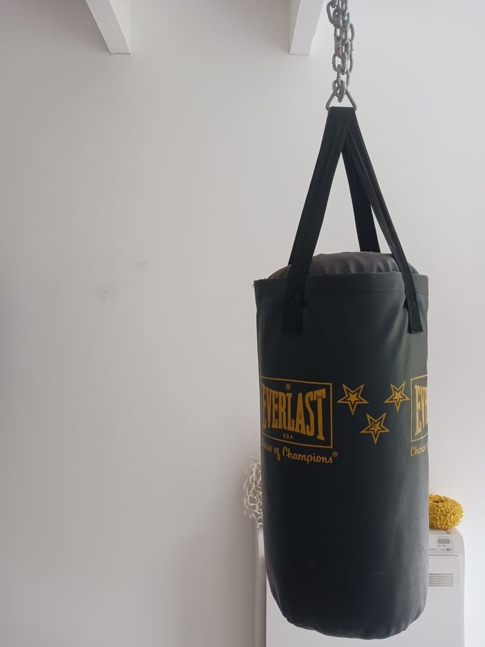 Punching ball Sports