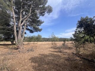  Terrain � vendre 4795 m�