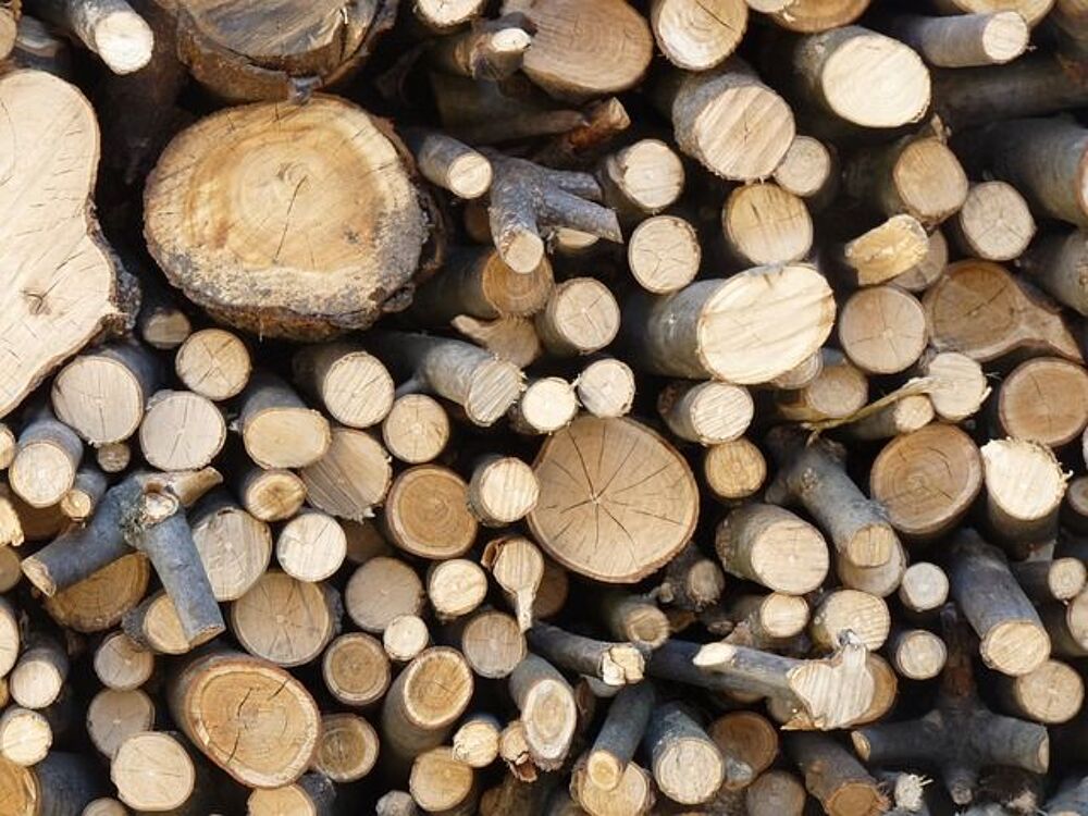 bois de chauffage deux ans et demi de sec. Jardin