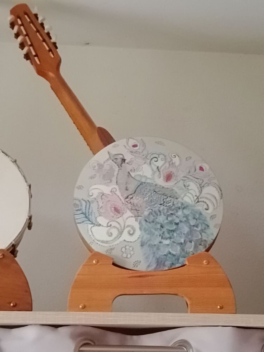 Banjos mandolines avec peintures d'animaux Instruments de musique
