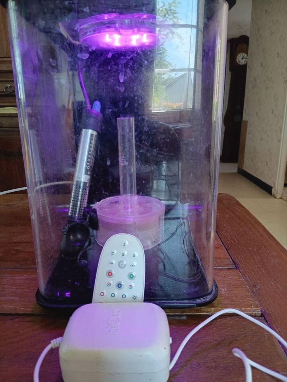 aquarium 20 l Décoration