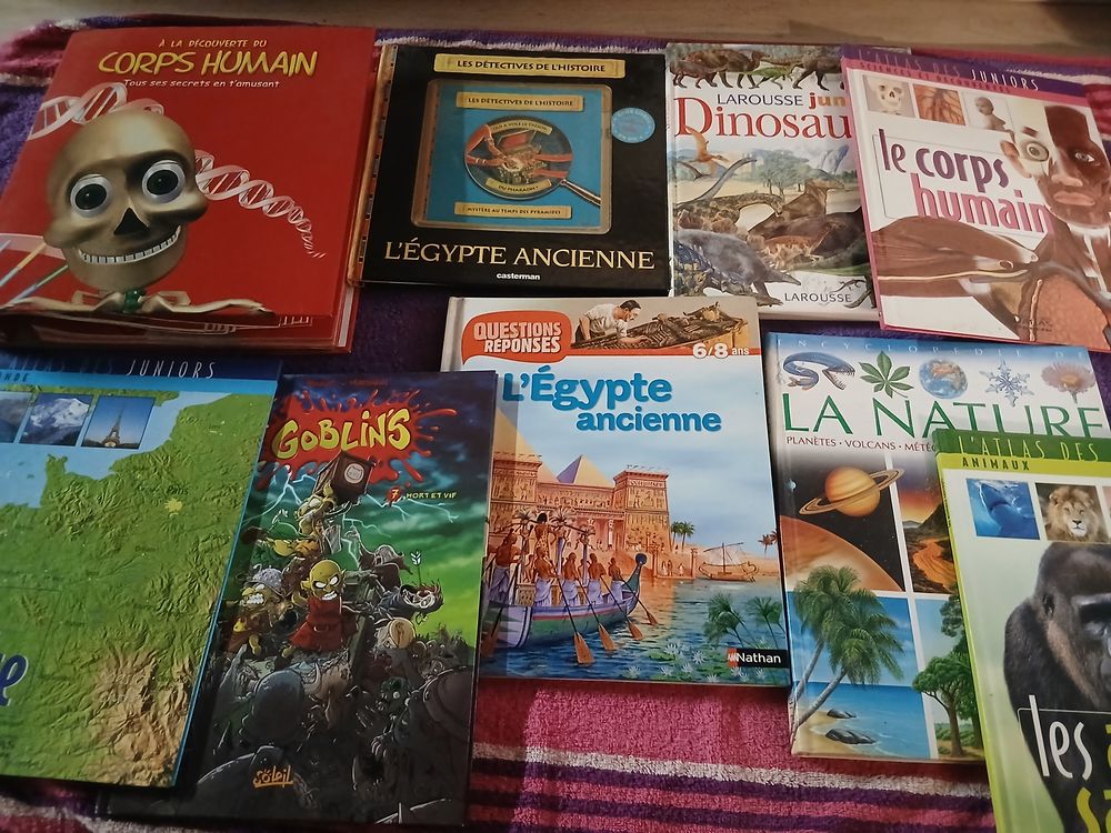 Livres scolaires Livres et BD