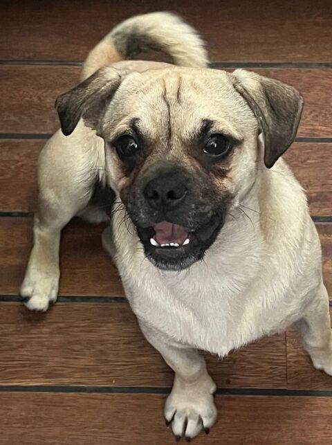 E.T a l adoption 0 75018 Paris