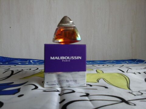 MINIATURE DE PARFUM 6 Trouy (18)