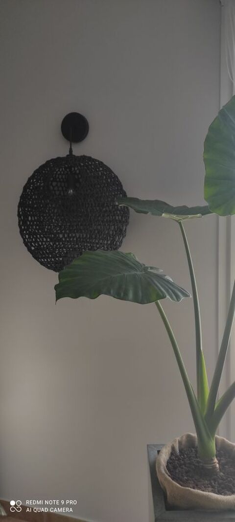  applique Flavin (12)