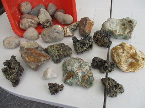 diff�rentes pierres pour aquarium ou tout autre 0 M�rignies (59)