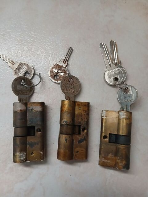6 barillets pour porte et fen�tre 40 Cauvicourt (14)