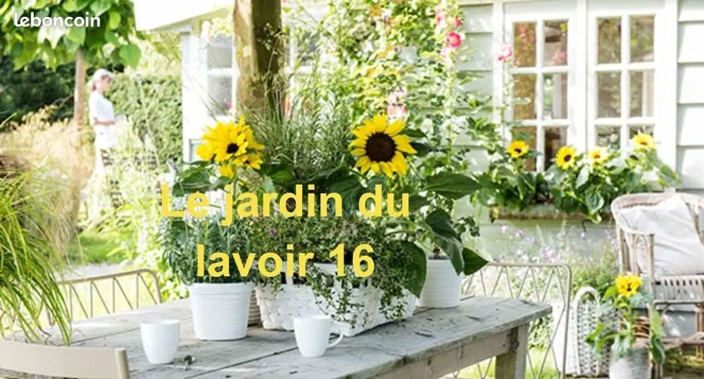 de v&eacute;g&eacute;taux au jardin du lavoir 16 Jardin