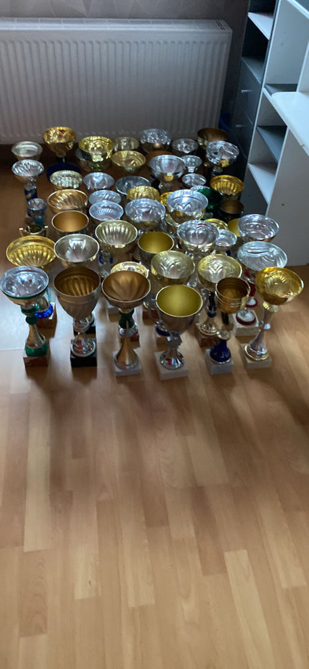 Lot de coupes Sports