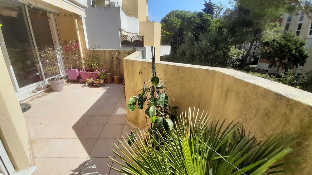 Vente Appartement Appartement T4 Montpellier Ovalie Montpellier