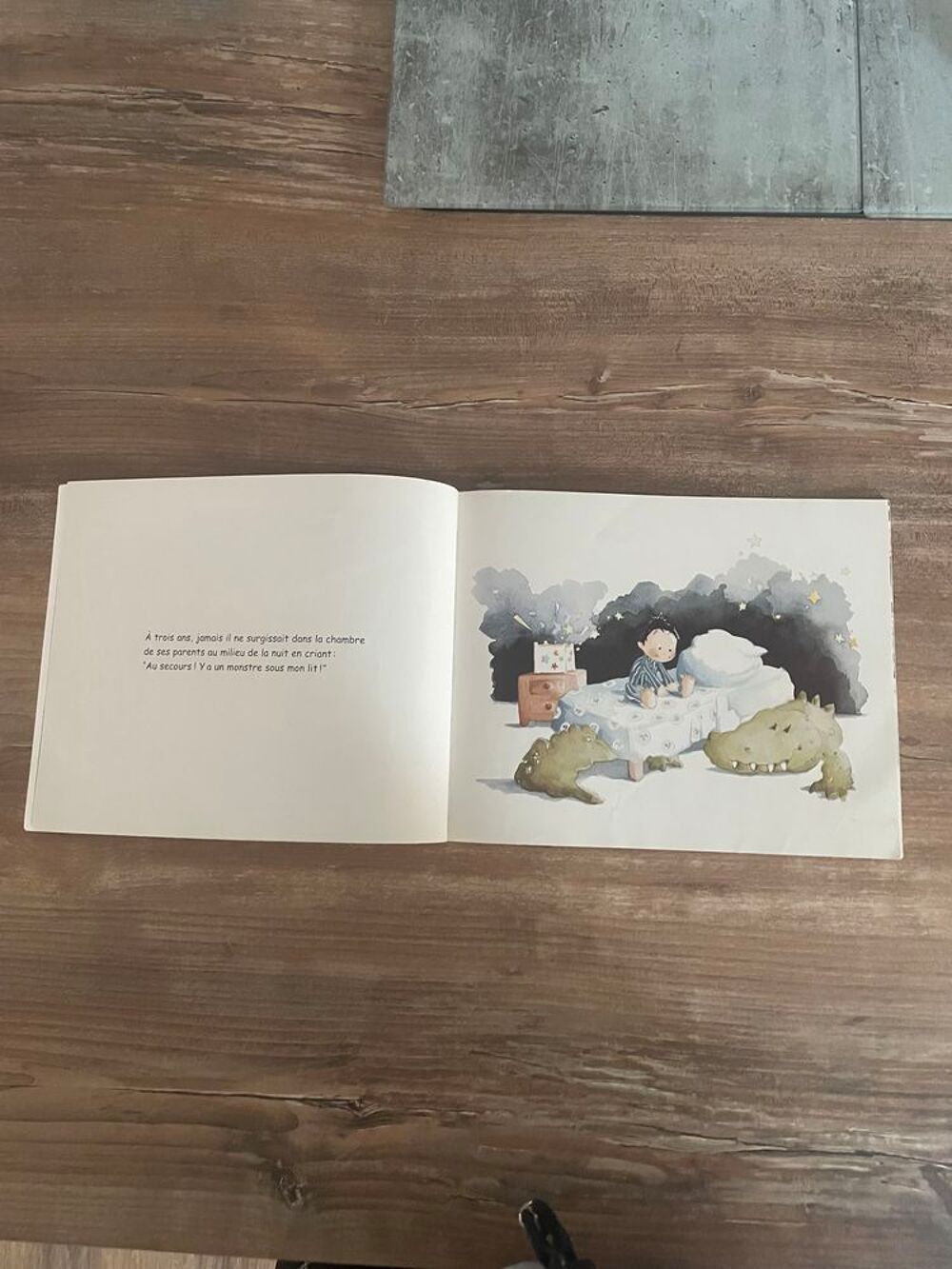 Livre enfant \'\' Thomas n' a peur de rien \'\' Livres et BD