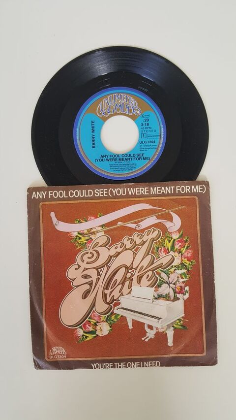 45 Tours BARRY WHITE Any fool could see
11 Sautron (44)