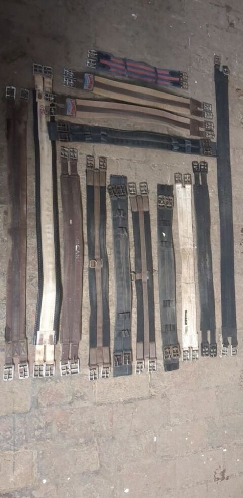 Sangles tissu et cuir toutes tailles 5 Auxerre (89)