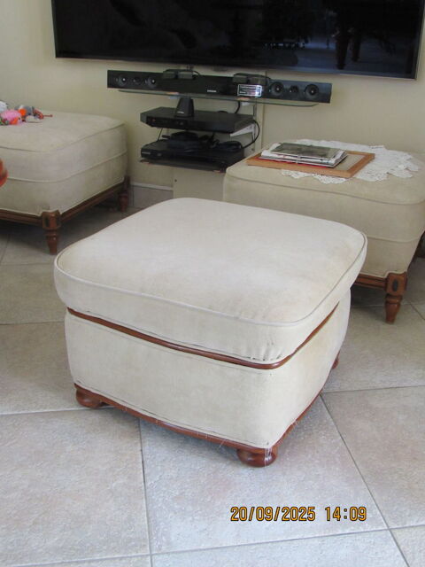 Poufs rustiques 20 Orl�ans (45)