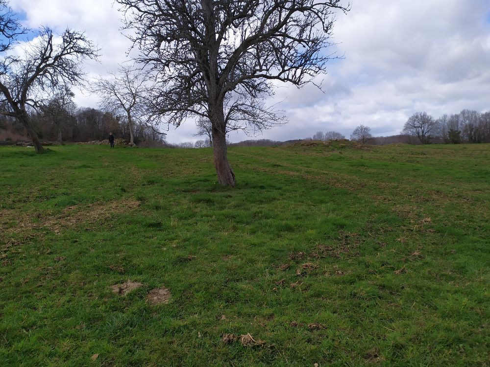 Vente Terrain Terrain constructible Le mayet-de-montagne