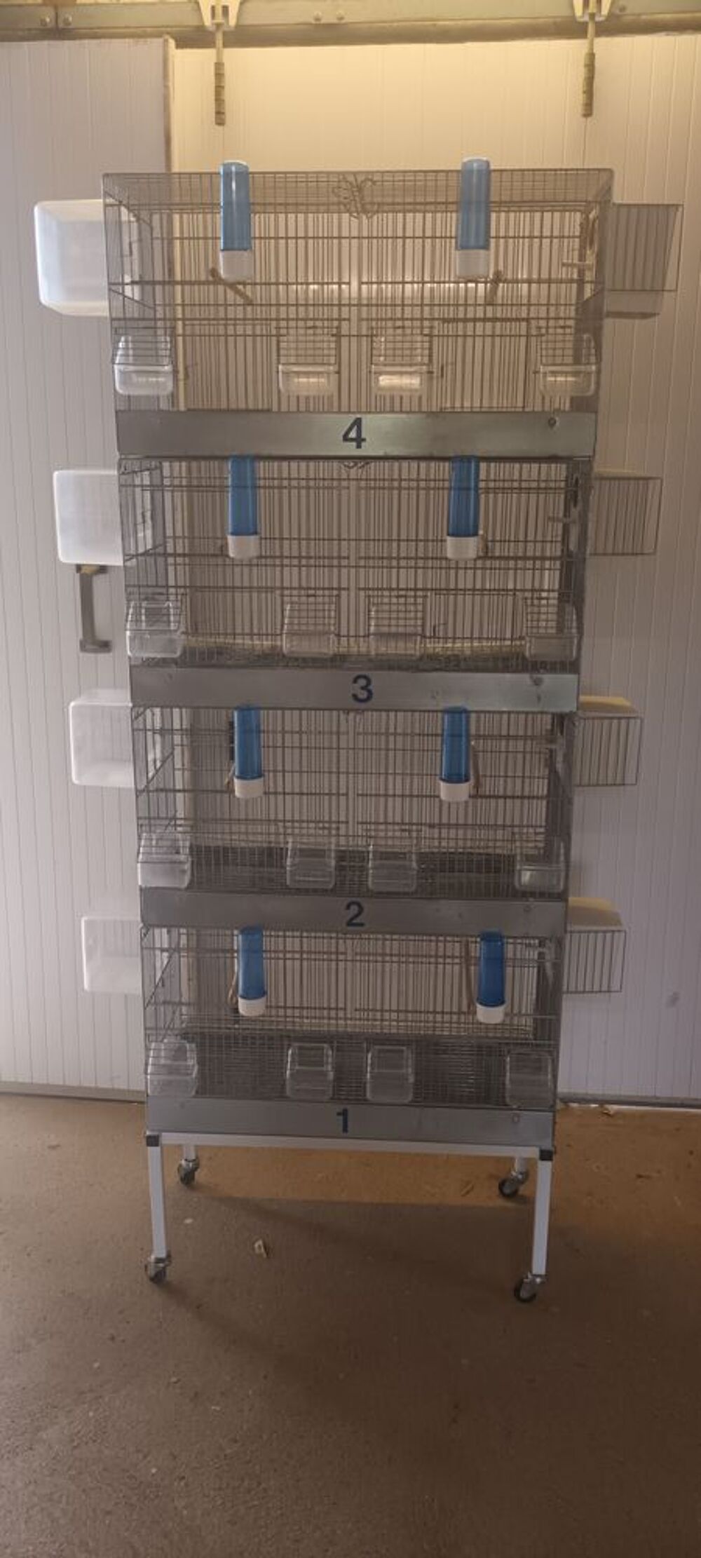   cages oiseaux 